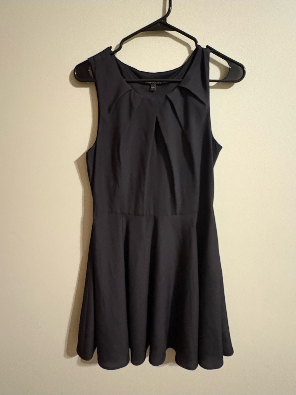 Express Black Sleeveless Fit & Flare Dress with Pleated Front